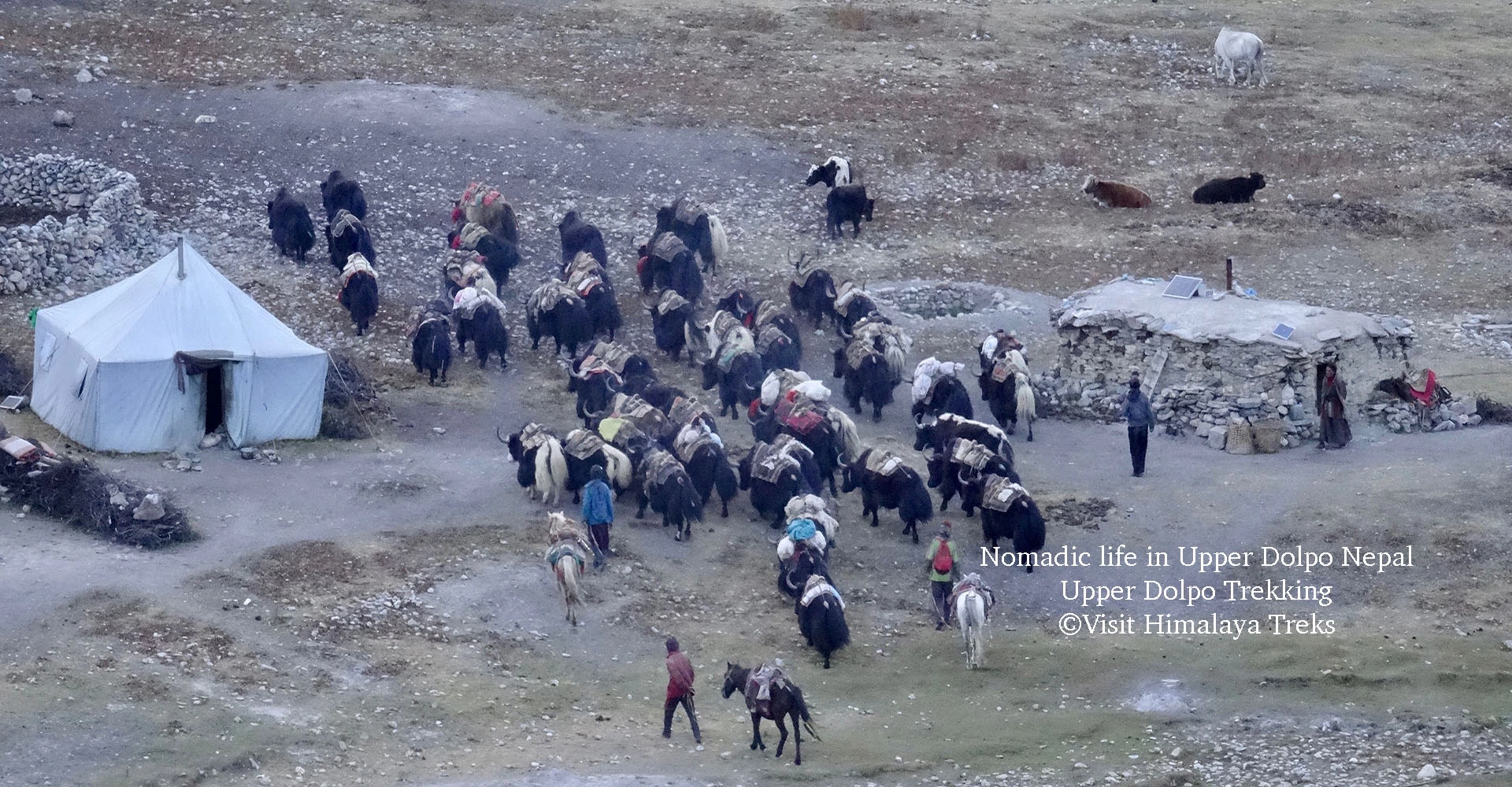 Everything You Need to Know About Upper Dolpo Trekking in Nepal
