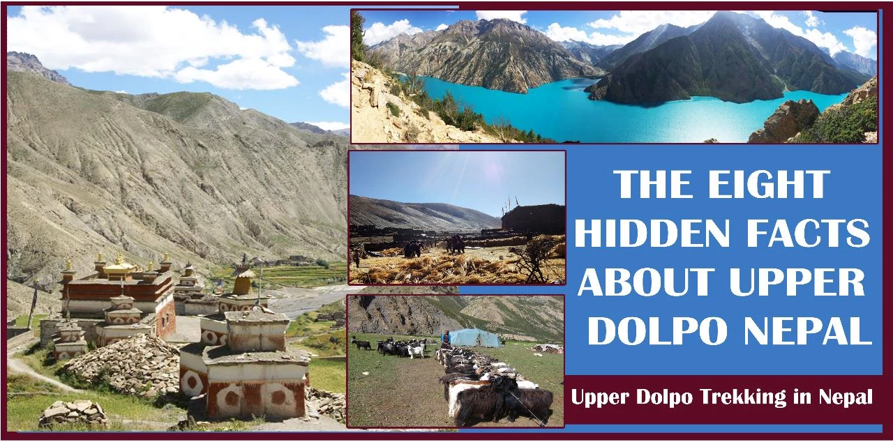 The Eight Hidden Facts about Upper Dolpo Nepal