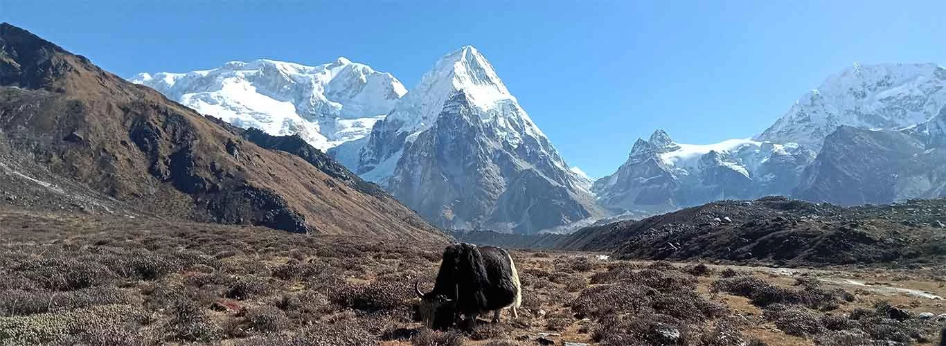 Things To Know Before Kanchenjunga Base Camp Trekking In Nepal