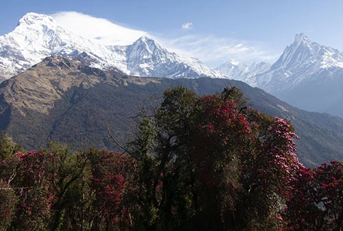 Annapurna Base Camp Trek Difficulty, Challenges, And Tips.