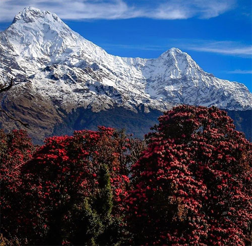 Best Treks In Nepal For Beginners 4 -10 Days