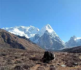 Kanchenjunga Base Camp Trek Video