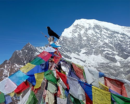 Langtang Valley Trek Best Time of the Year | Complete Seasonal Guide