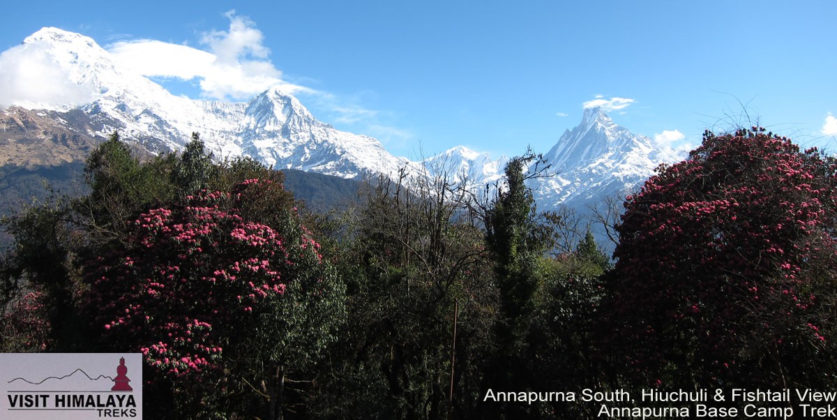  Annapurna South Simchuli and Fishtail view from Tadapani 
