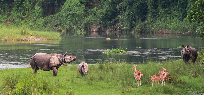  Chitwan National Park Tour 