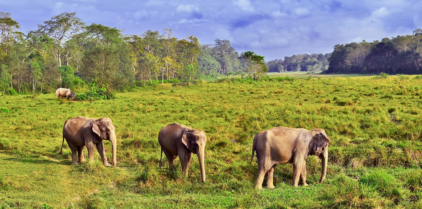  Bardia National Park Tour 