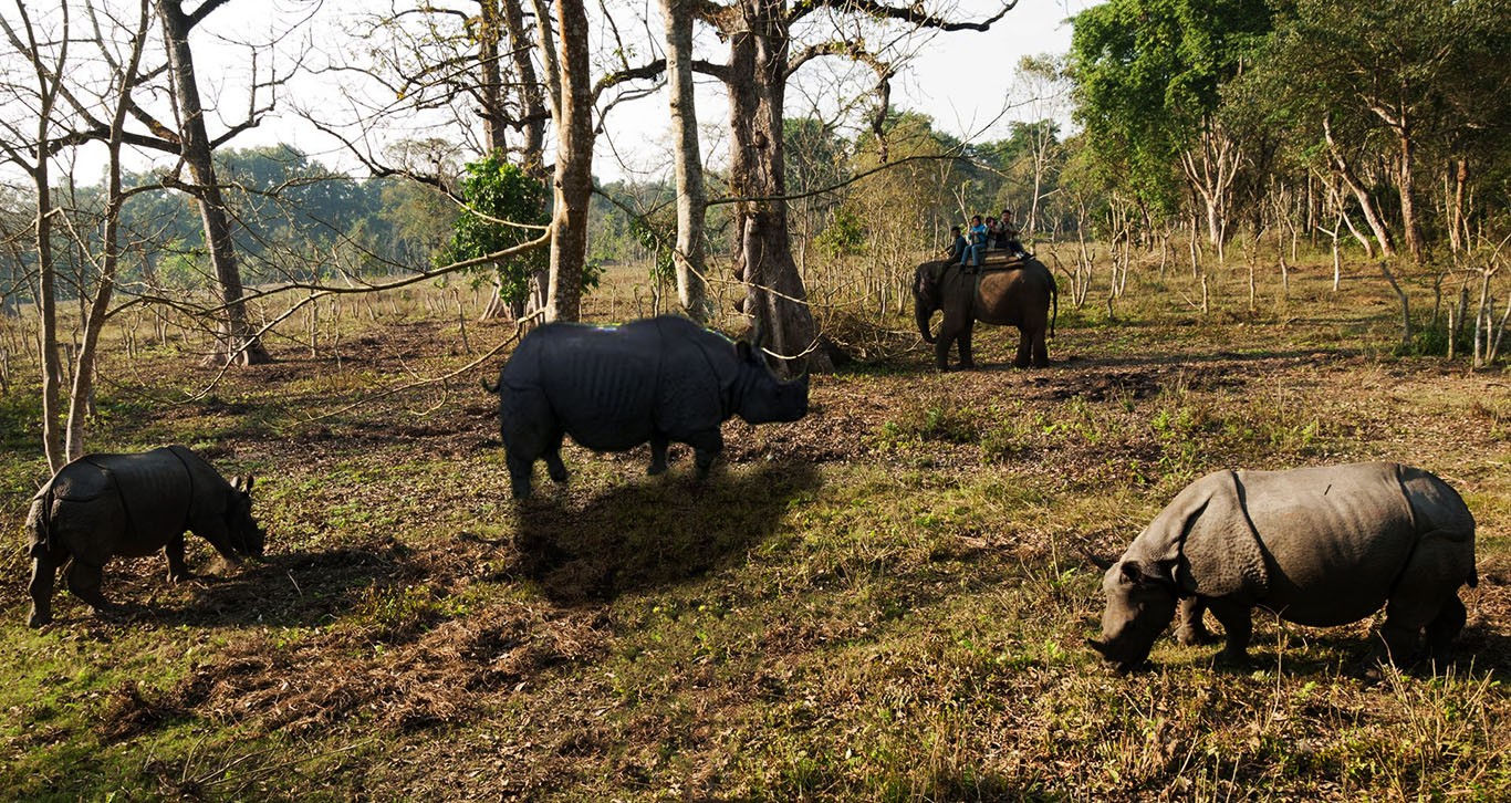  Chitwan National Park 2N 3D Budget Tour 