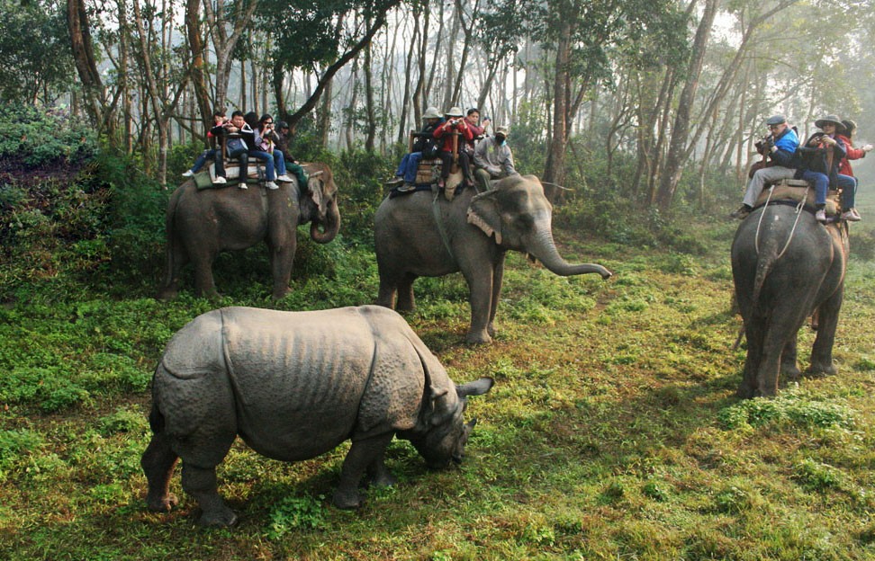  Chitwan National Park 4N 5D Budget Tour 