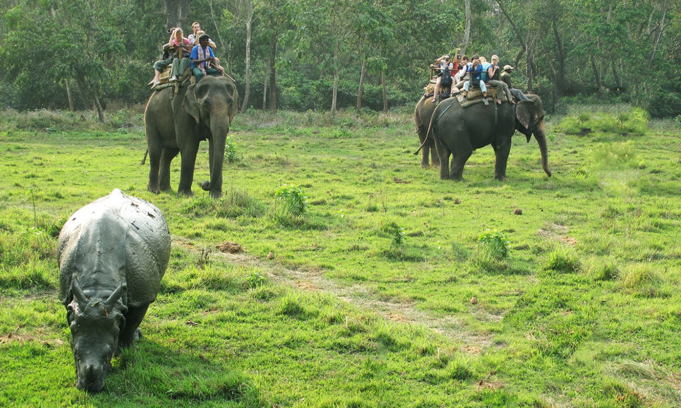  Chitwan National Park 4N 5D Budget Tour 