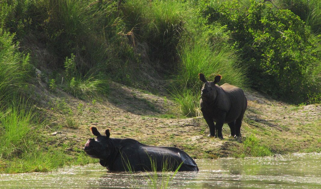  Bardiya National Park 2N 3D Tour 