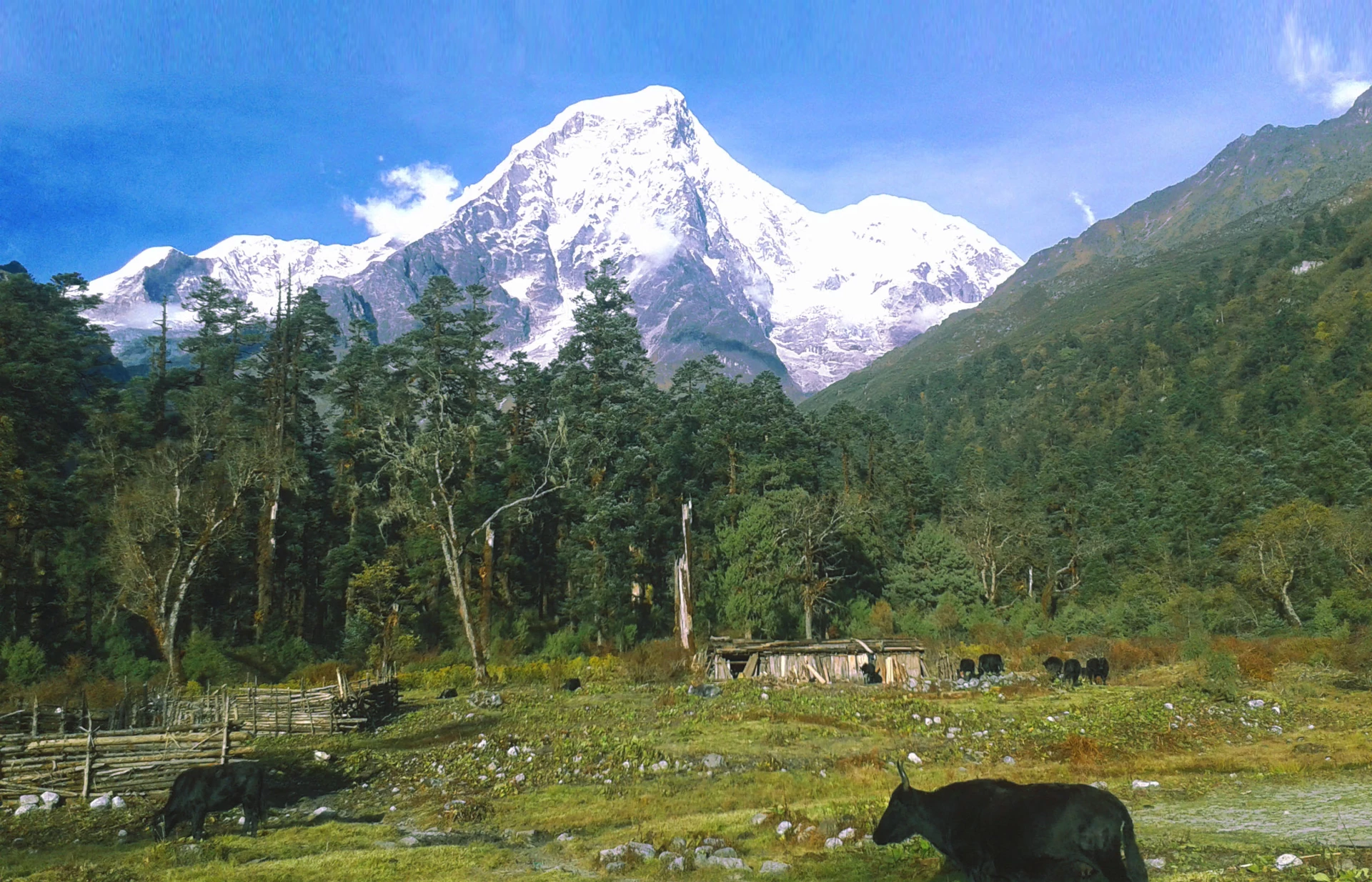  Jugal Himal from Ne Pemasal 