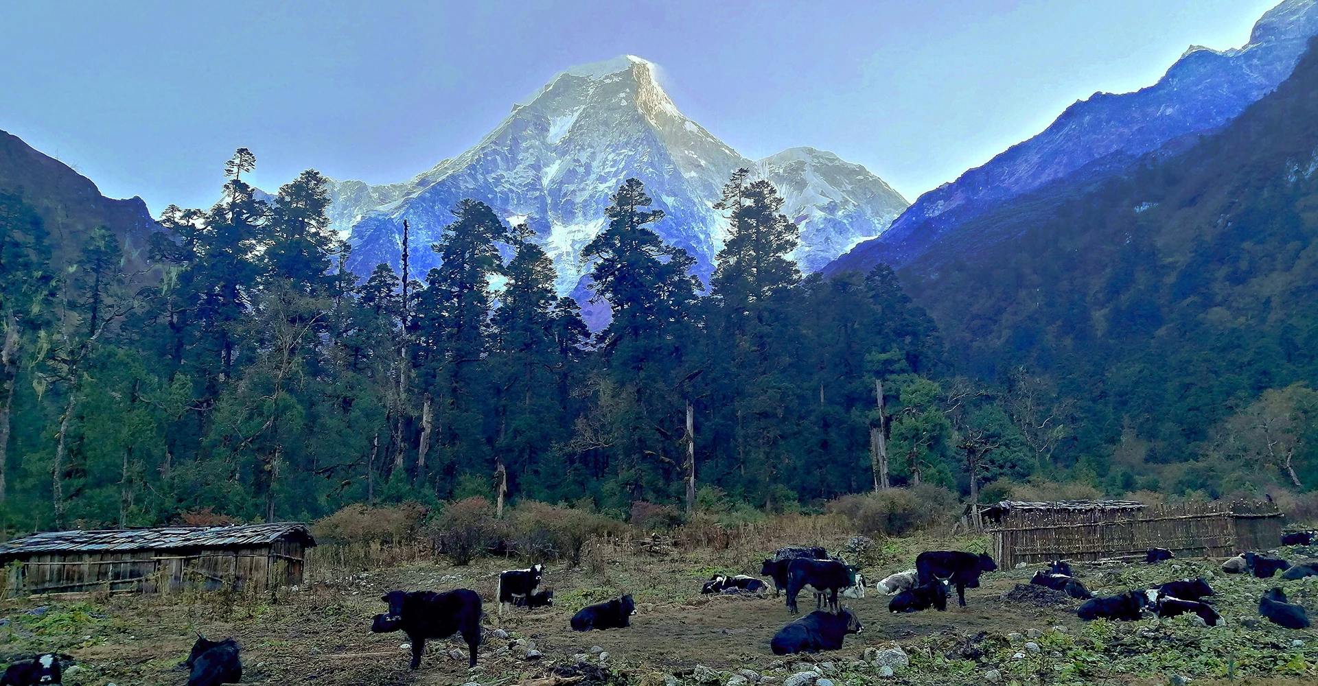 Jugal Himal View from Pemasal 