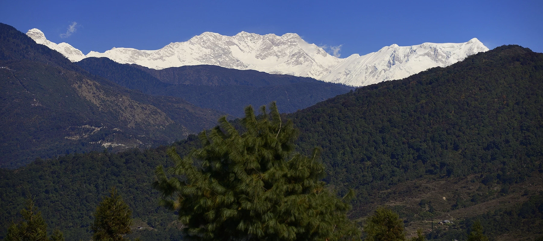  Kanchenjunga Panorama View 