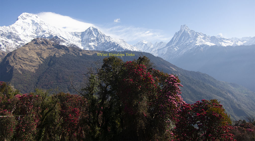 Spring time trek to Ghorepani Poon Hill