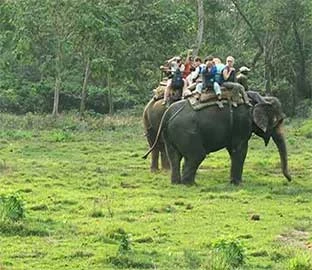 Chitwan National Park 3N 4D Budget Tour