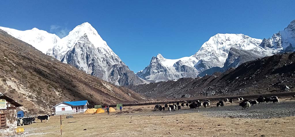 Ramche kanchenjunga south base camp