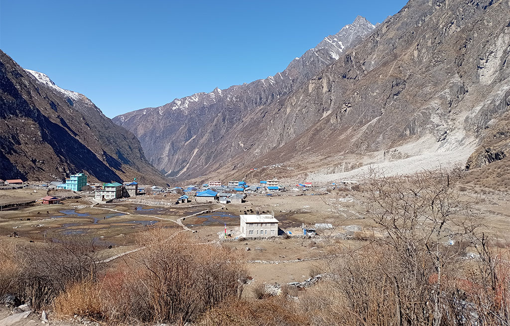 The Local Village Lantang