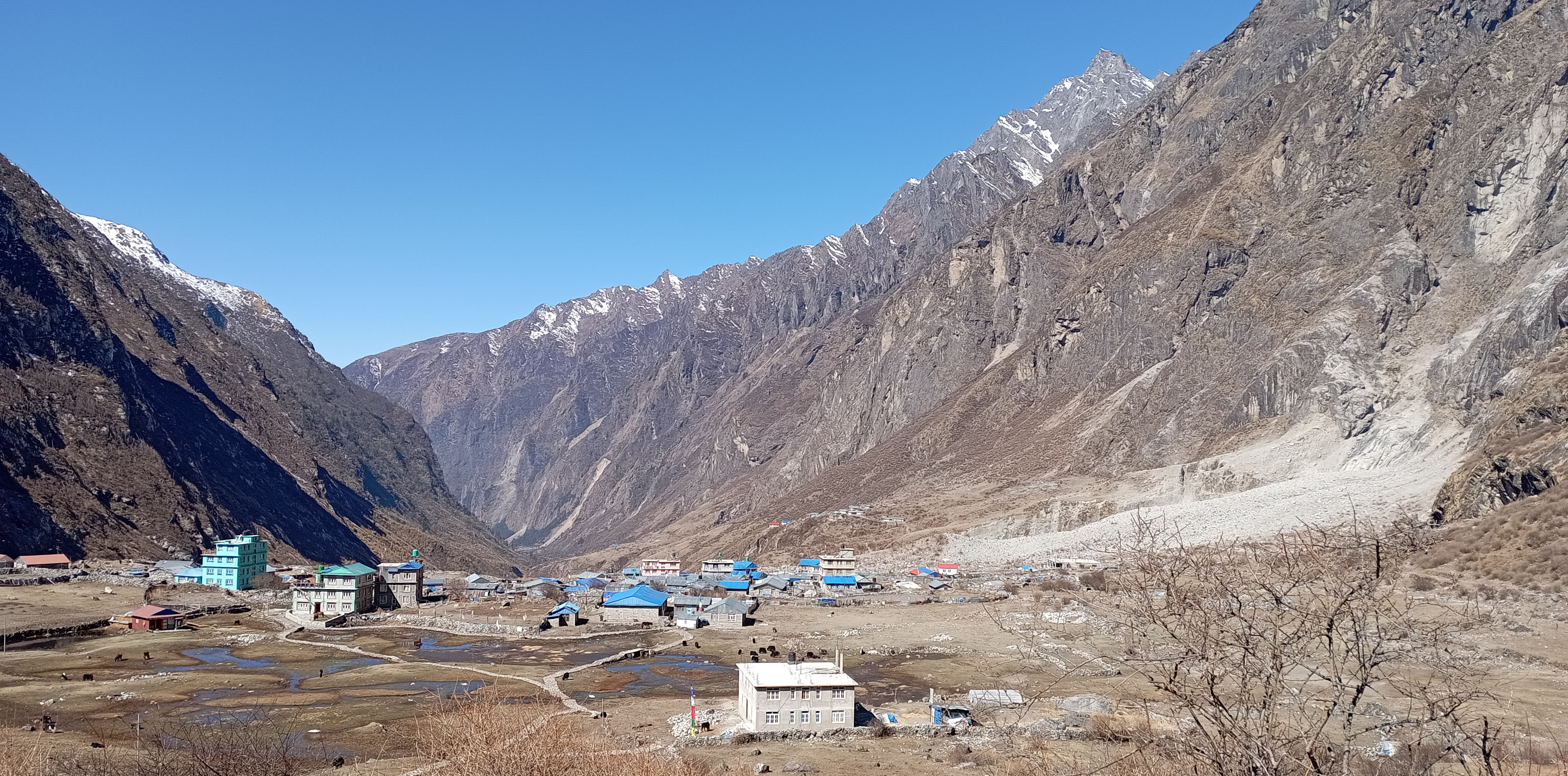 Langtang Village 