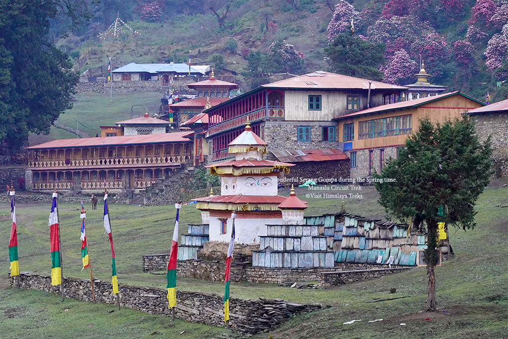 Wonderful Serang Gompa view during the springtime, en route to Manaslu Circuit Trek.